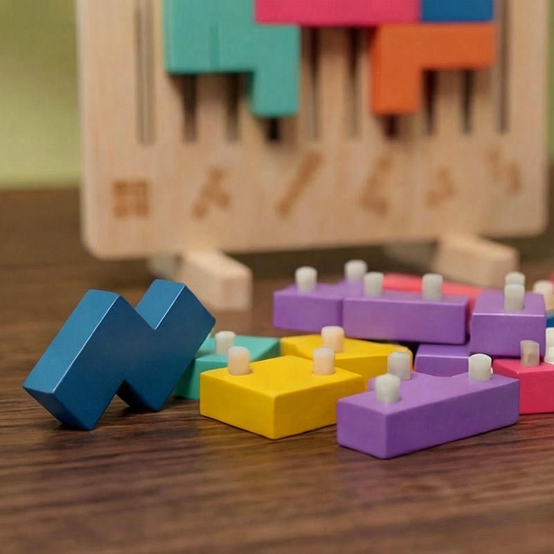 Montessori Shape-Fitting Puzzle Set - Wooden Brain Block Toy