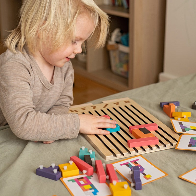 Montessori Shape-Fitting Puzzle Set - Wooden Brain Block Toy