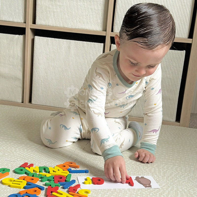 Montessori Wooden Spelling Game - Letters and Picture Cards
