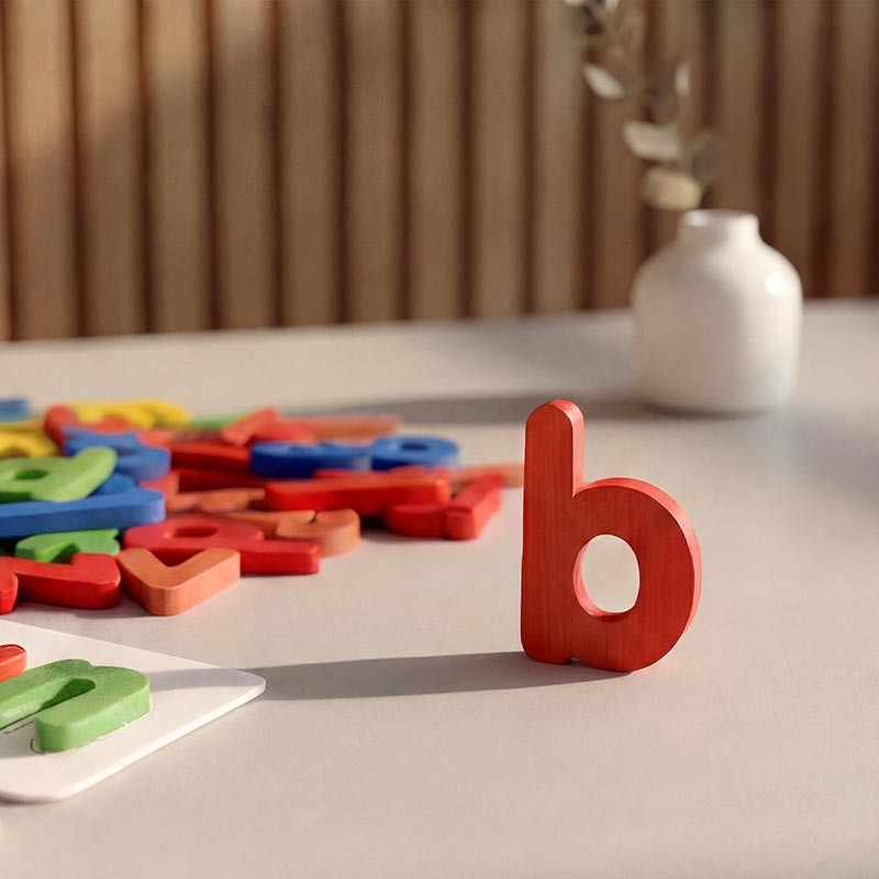 Montessori Wooden Spelling Game - Letters and Picture Cards