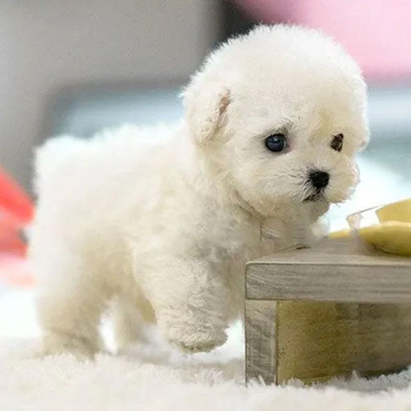 Plush Toy Puppy - Seated Position