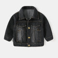 Toddler Boys Jacket - Turn-Down Collar with Distressed Detailing