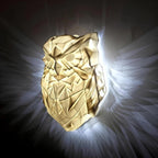 Wall Lamp - Animal Silhouette Projection Light